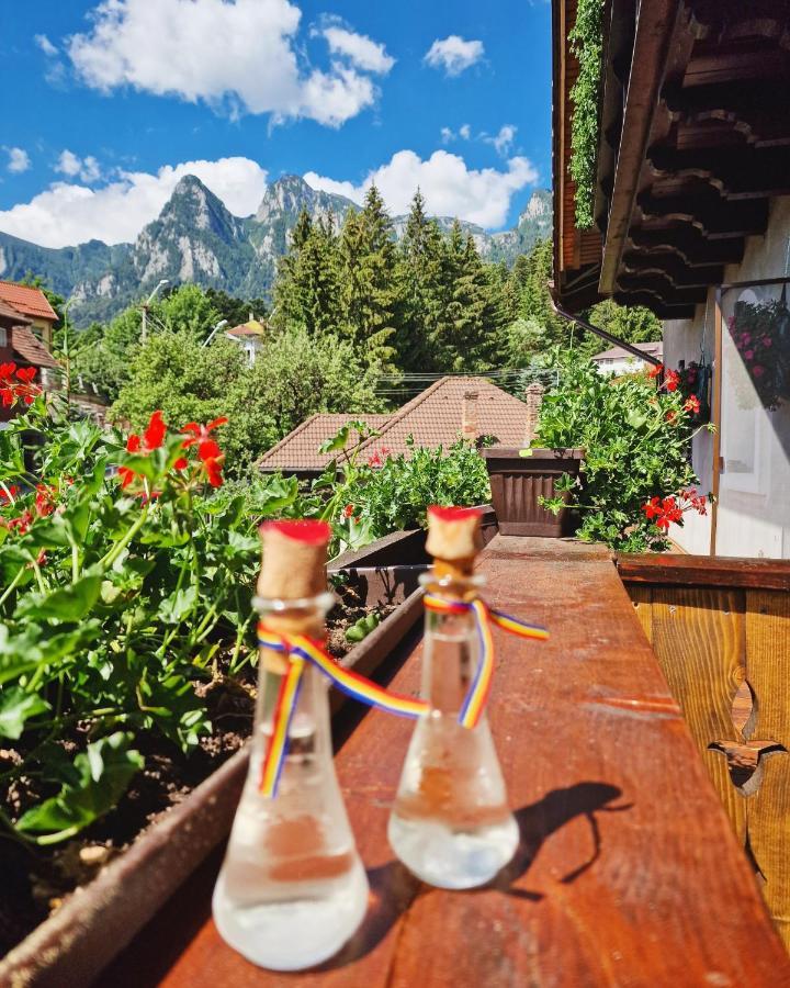 Amor Tirol Busteni (Adults Only) Eksteriør billede