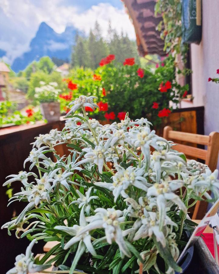 Amor Tirol Busteni (Adults Only) Eksteriør billede