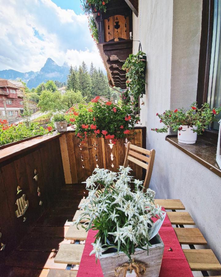 Amor Tirol Busteni (Adults Only) Eksteriør billede
