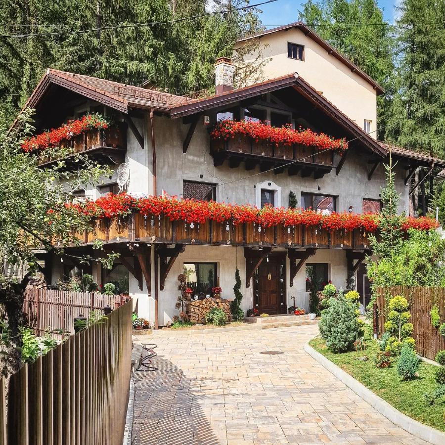 Amor Tirol Busteni (Adults Only) Eksteriør billede
