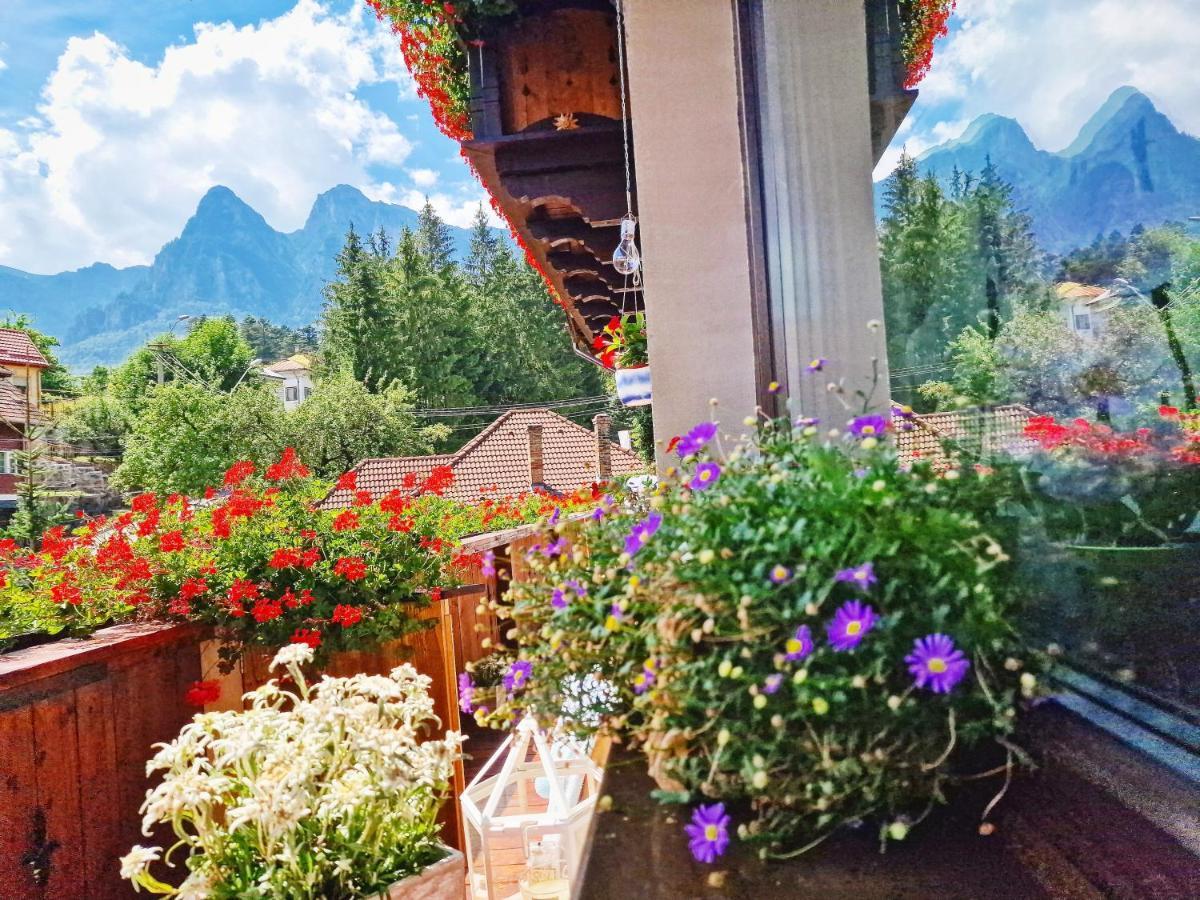 Amor Tirol Busteni (Adults Only) Eksteriør billede
