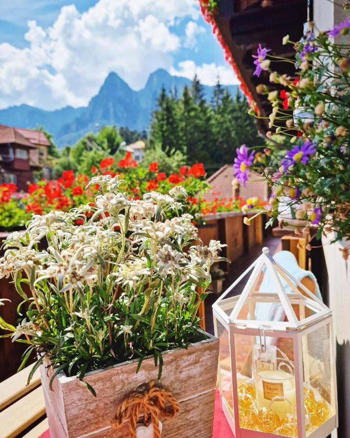 Amor Tirol Busteni (Adults Only) Eksteriør billede