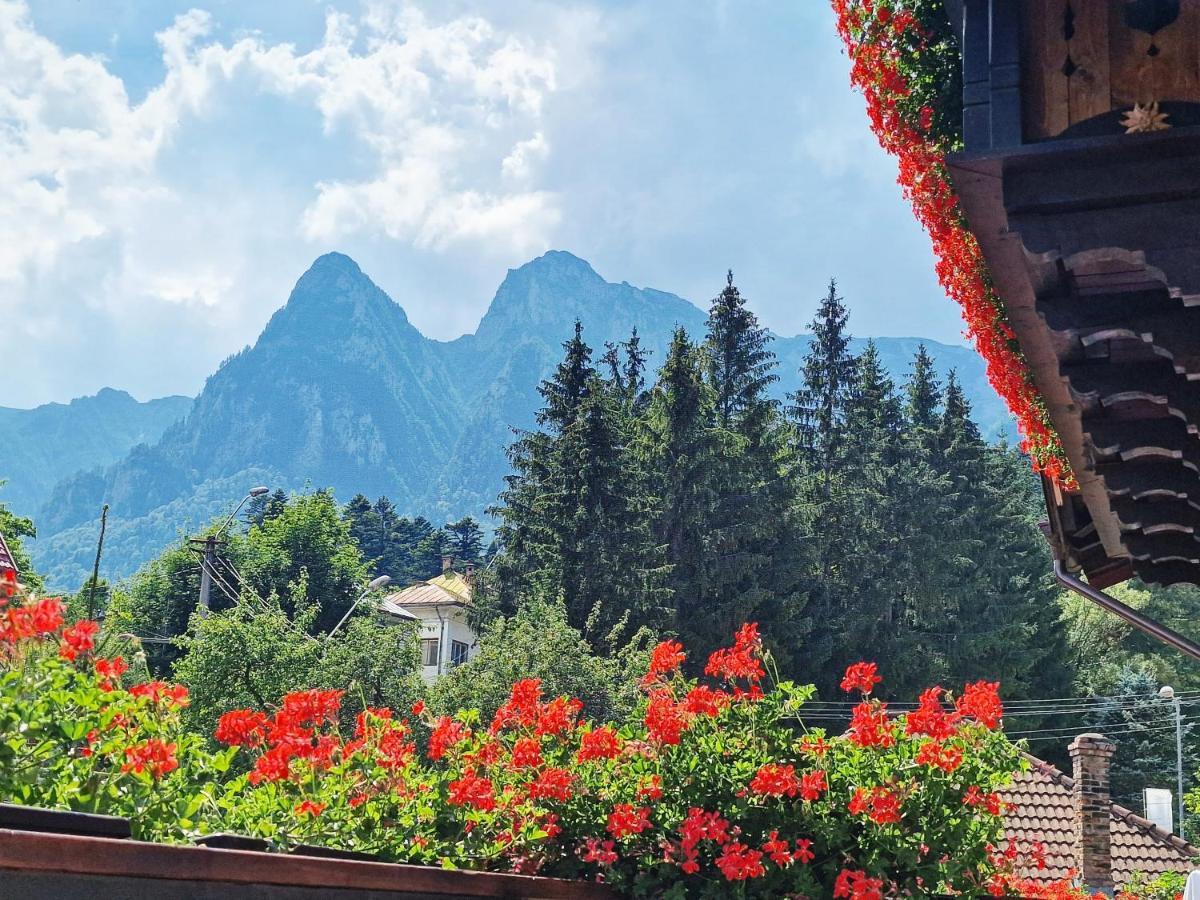 Amor Tirol Busteni (Adults Only) Eksteriør billede