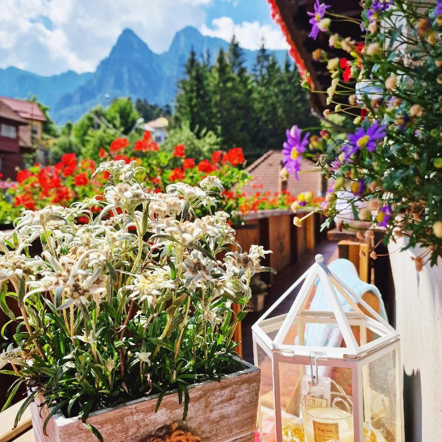 Amor Tirol Busteni (Adults Only) Eksteriør billede