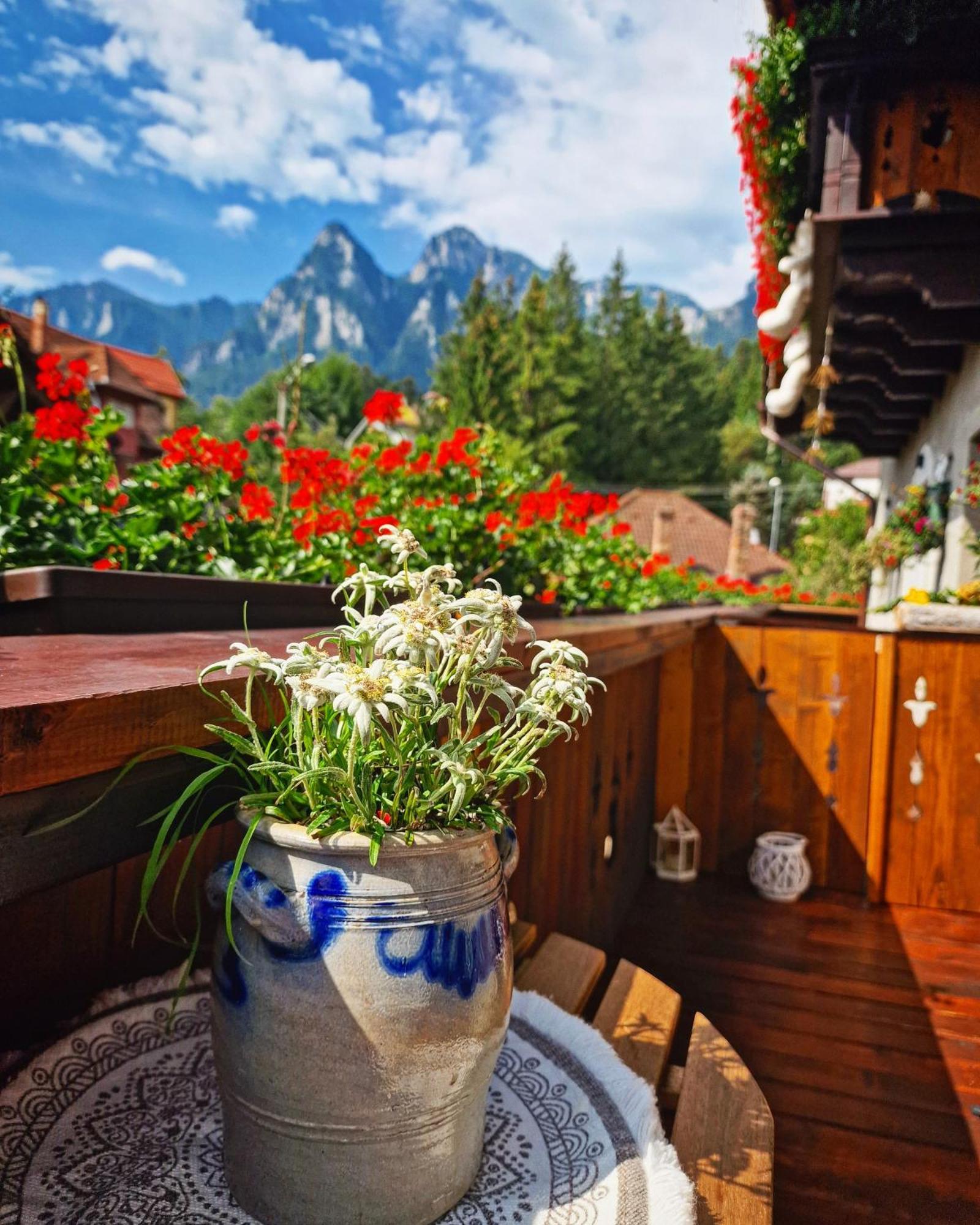 Amor Tirol Busteni (Adults Only) Eksteriør billede